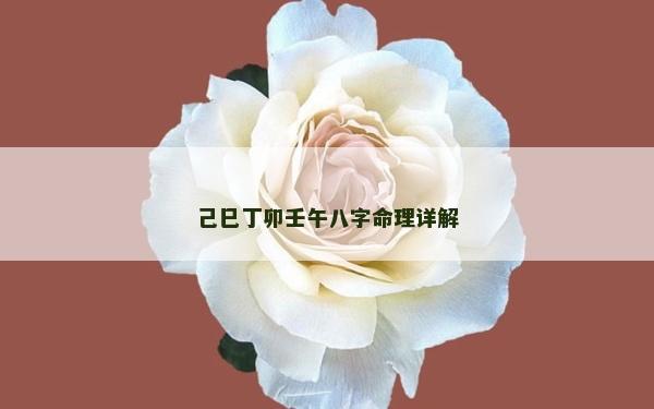 己巳丁卯壬午八字命理詳解