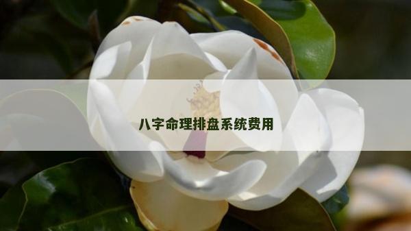 八字命理排盤系統費用