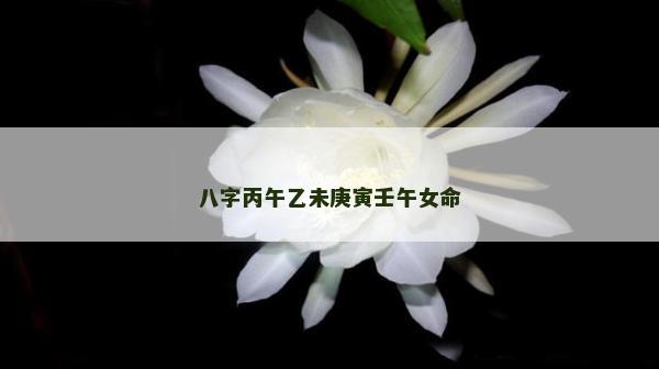 八字丙午乙未庚寅壬午女命