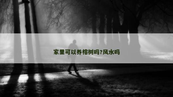 家里可以養榕樹嗎?風水嗎