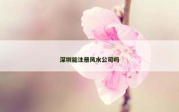 深圳能注冊風水公司嗎