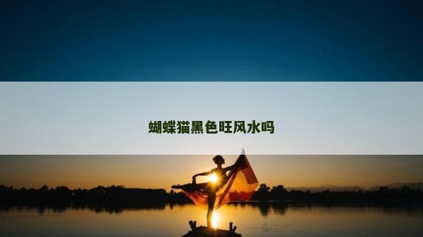 蝴蝶貓黑色旺風水嗎