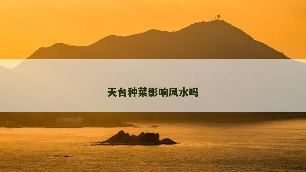 天臺(tái)種菜影響風(fēng)水嗎