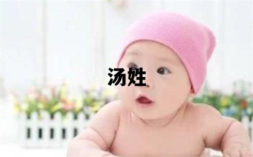 湯姓優(yōu)美大方的男孩名字,取什么名字好