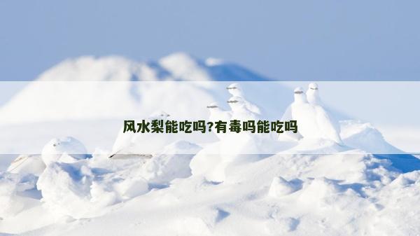 風水梨能吃嗎?有毒嗎能吃嗎