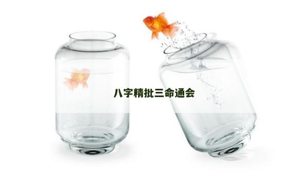八字精批三命通會