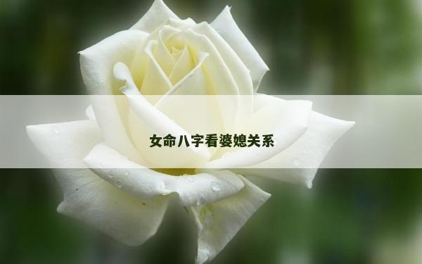 女命八字看婆媳關系