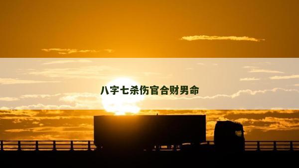 八字七殺傷官合財男命