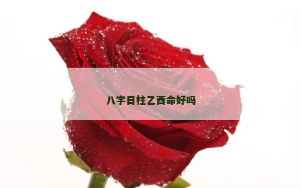 八字日柱乙酉命好嗎