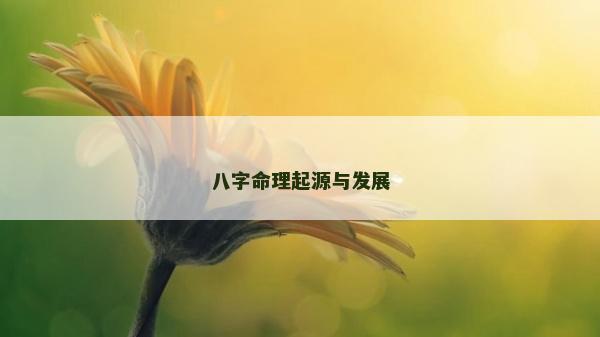 八字命理起源與發展