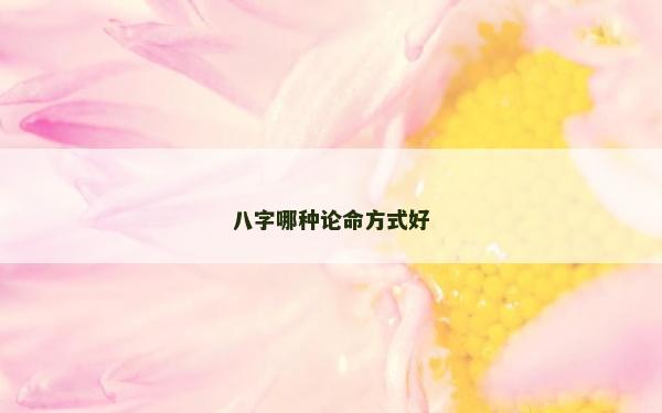 八字哪種論命方式好