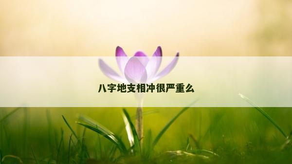 八字地支相沖很嚴重么