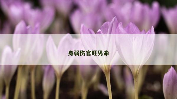 身弱傷官旺男命