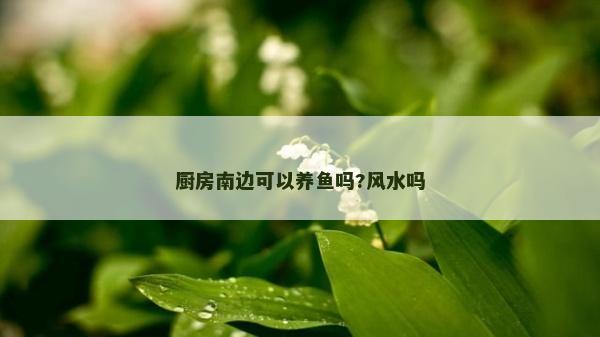 廚房南邊可以養魚嗎?風水嗎 廚房南邊可以養魚嗎?風水嗎