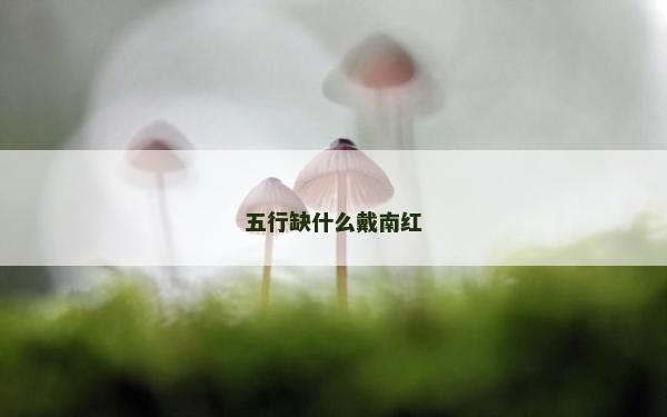 五行缺什么戴南紅