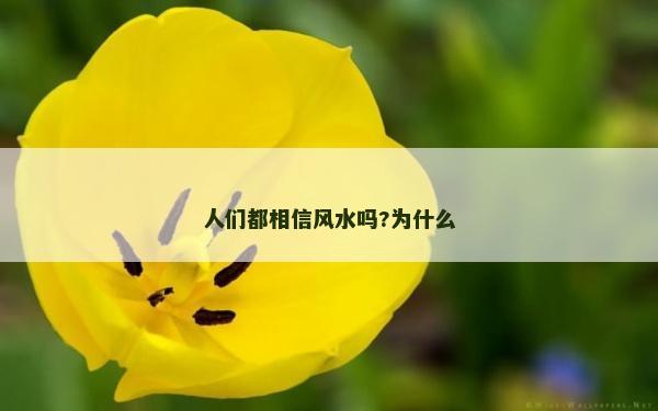 人們都相信風水嗎?為什么