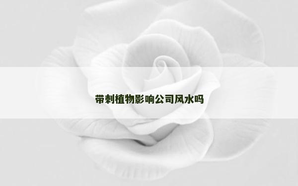 帶刺植物影響公司風水嗎