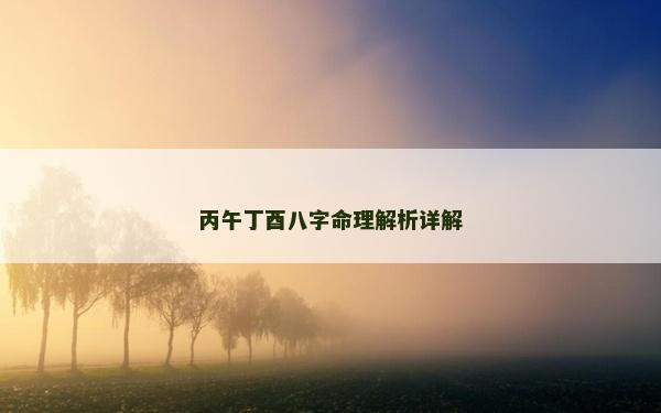 丙午丁酉八字命理解析詳解