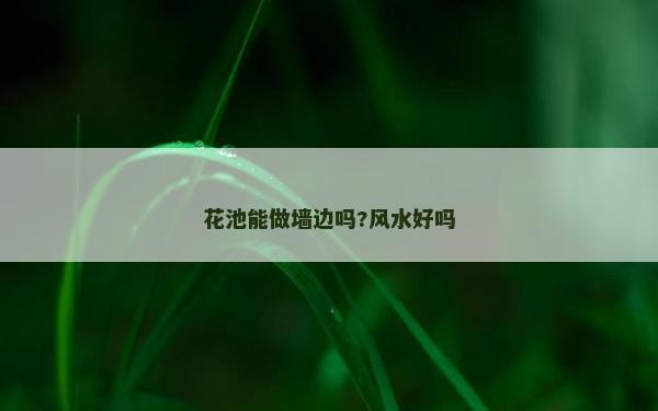 花池能做墻邊嗎?風水好嗎