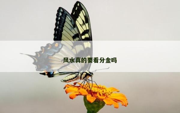 風水真的要看分金嗎