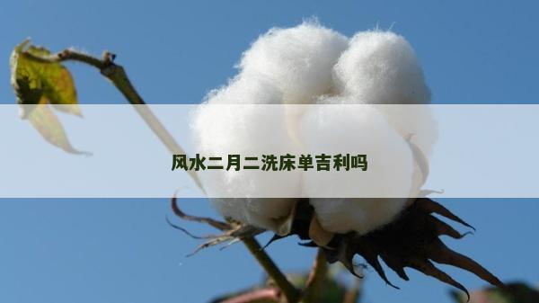 風水二月二洗床單吉利嗎