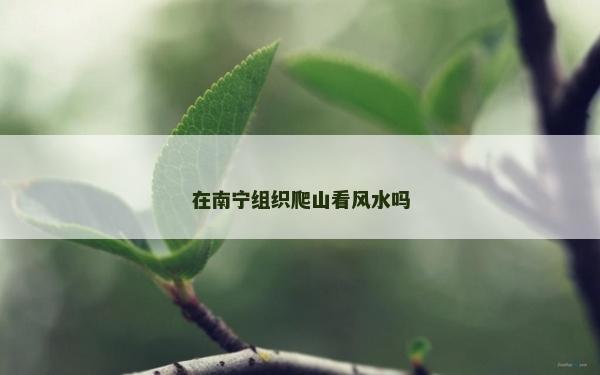 在南寧組織爬山看風(fēng)水嗎