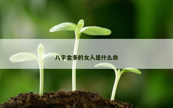 八字金多的女人是什么命