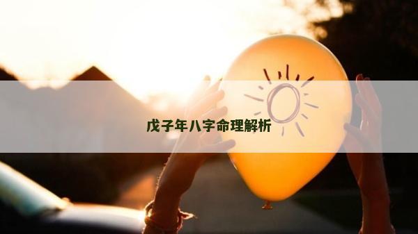 戊子年八字命理解析