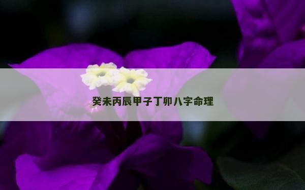 癸未丙辰甲子丁卯八字命理