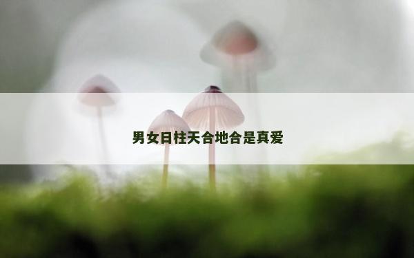 男女日柱天合地合是真愛