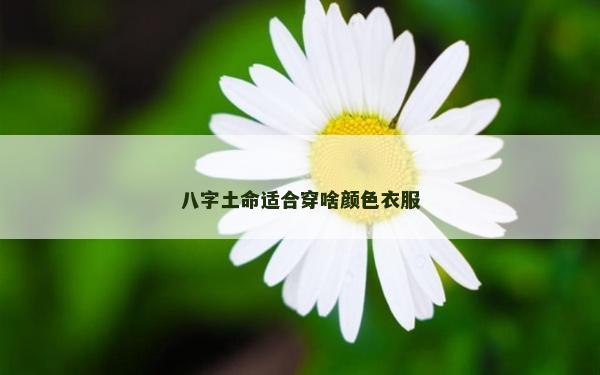 八字土命適合穿啥顏色衣服