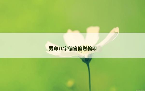 男命八字偏官偏財偏印
