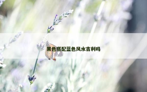 黑色搭配藍色風水吉利嗎