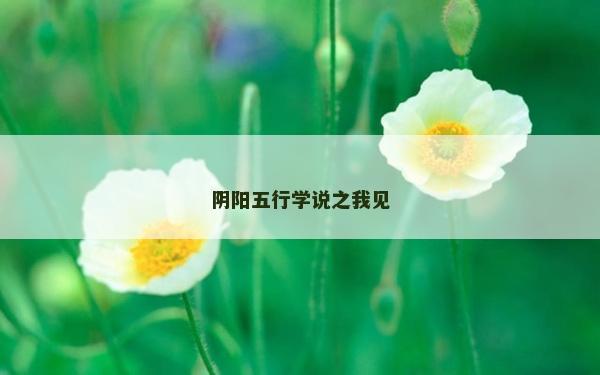 陰陽五行學說之我見