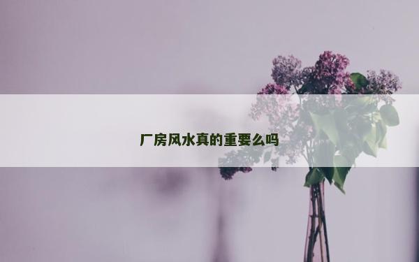廠房風(fēng)水真的重要么嗎