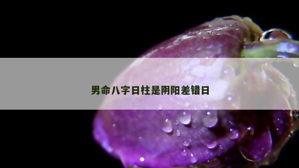 男命八字日柱是陰陽差錯日