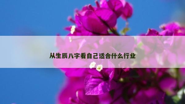 從生辰八字看自己適合什么行業(yè) 從生辰八字看自己適合什么行業(yè)
