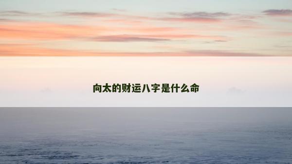 向太的財運八字是什么命 向太的財運八字是什么命