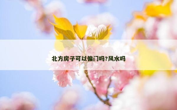 北方房子可以偏門嗎?風水嗎
