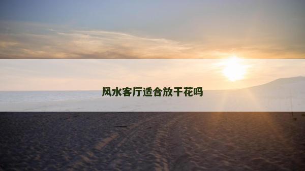 風水客廳適合放干花嗎