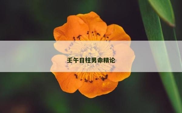 壬午日柱男命精論 壬午日柱男命精論