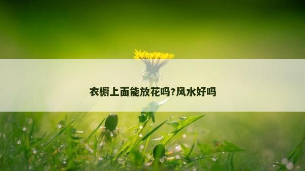衣櫥上面能放花嗎?風水好嗎