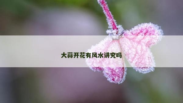 大蒜開花有風水講究嗎
