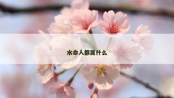 水命人都屬什么