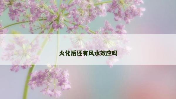 火化后還有風水效應嗎