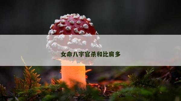 女命八字官殺和比肩多