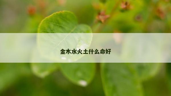 金木水火土什么命好