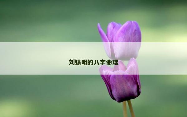劉錫明的八字命理