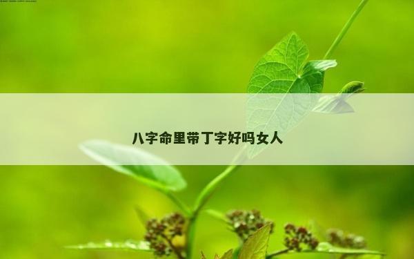 八字命里帶丁字好嗎女人