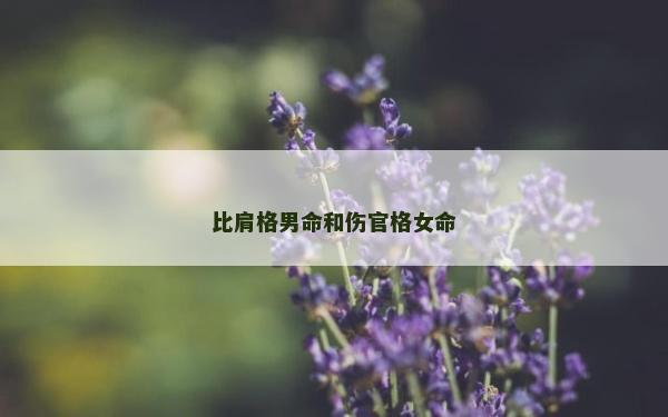 比肩格男命和傷官格女命